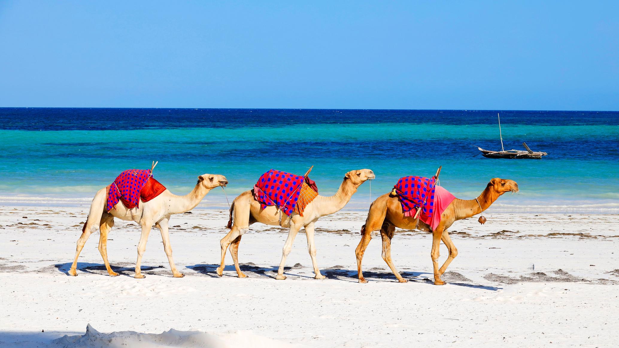 Kenya Coastal Excursions