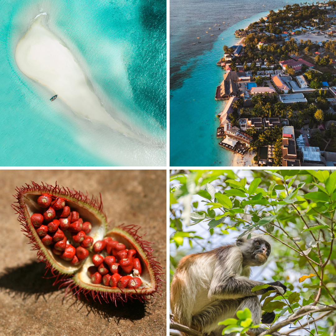 Zanzibar Island Excursions Collection