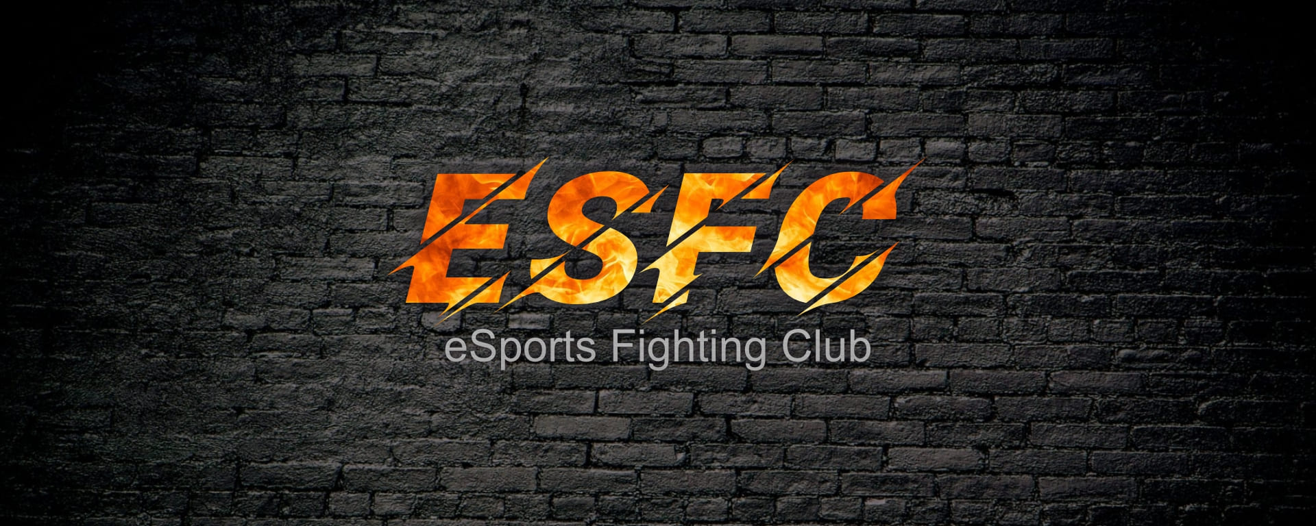 Esports Fighting Club - интерактивный киберспортивный клуб