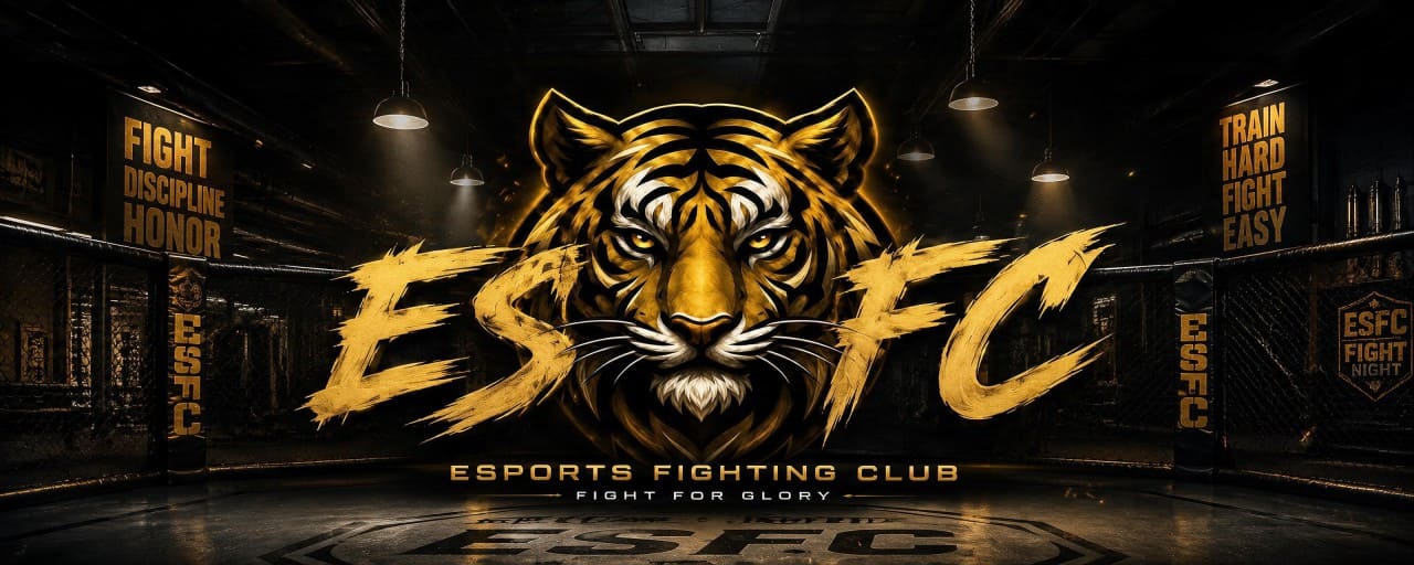 Esports Fighting Club - интерактивный киберспортивный клуб
