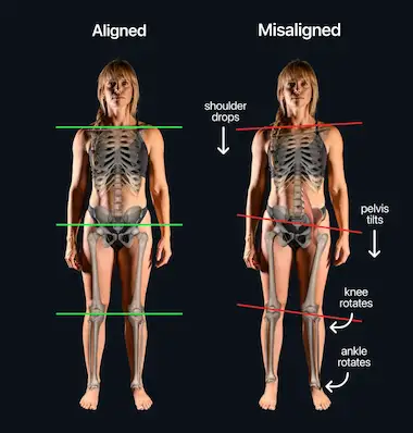 Muscle Tension Explained: Why Your Chronic Pain is a Signal You Can't Ignore.