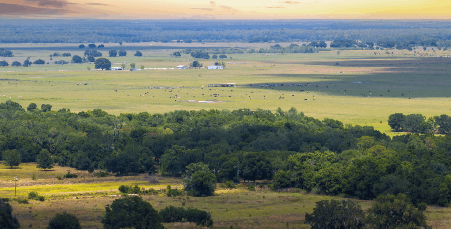 how-to-get-a-mississippi-birth-certificate-online