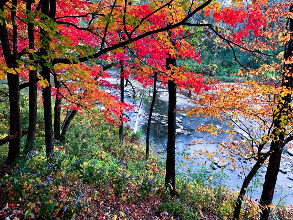 Meditation for October 9, 2021