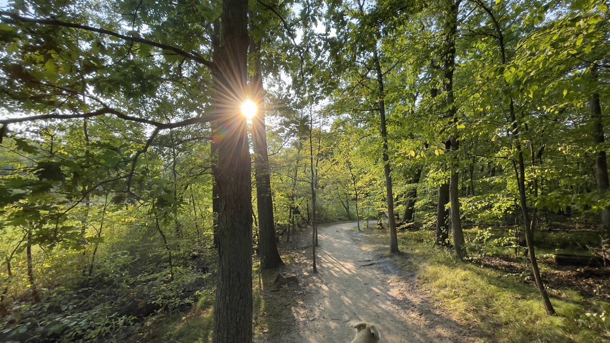 Meditation for September 26, 2021