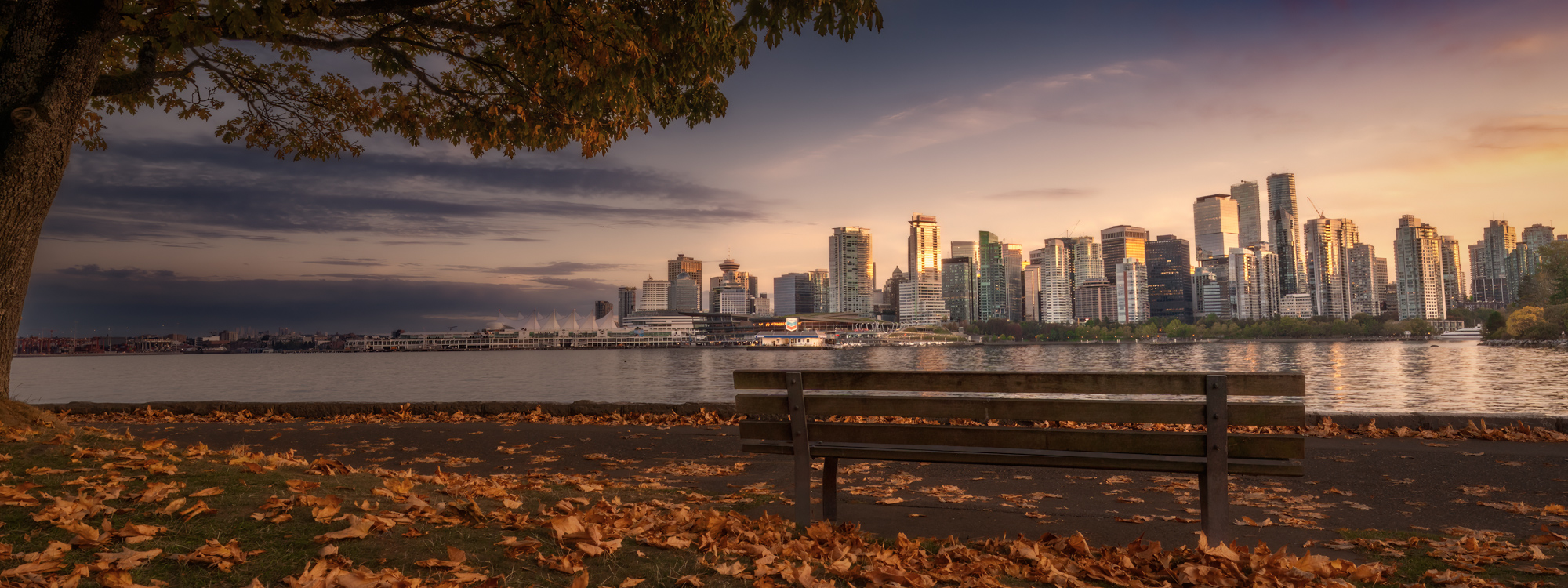 Vancouver Bench