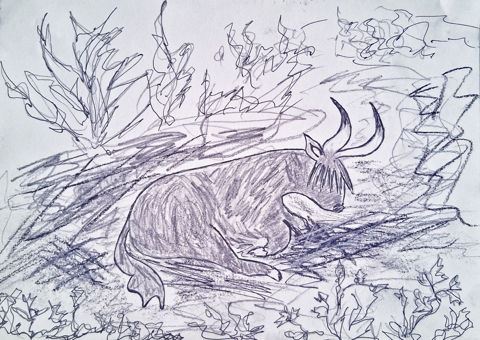 Mountain cow