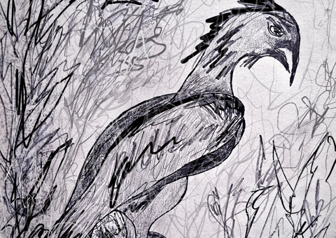 Eagle. De- and reconstructed