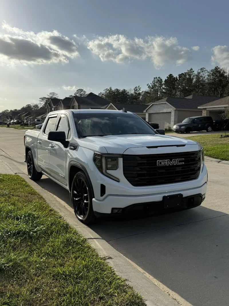 Thrasher Tint in Spring