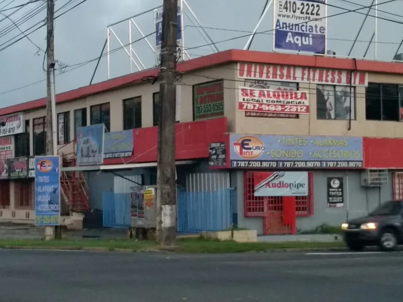 Euro Tint - Window tinting business