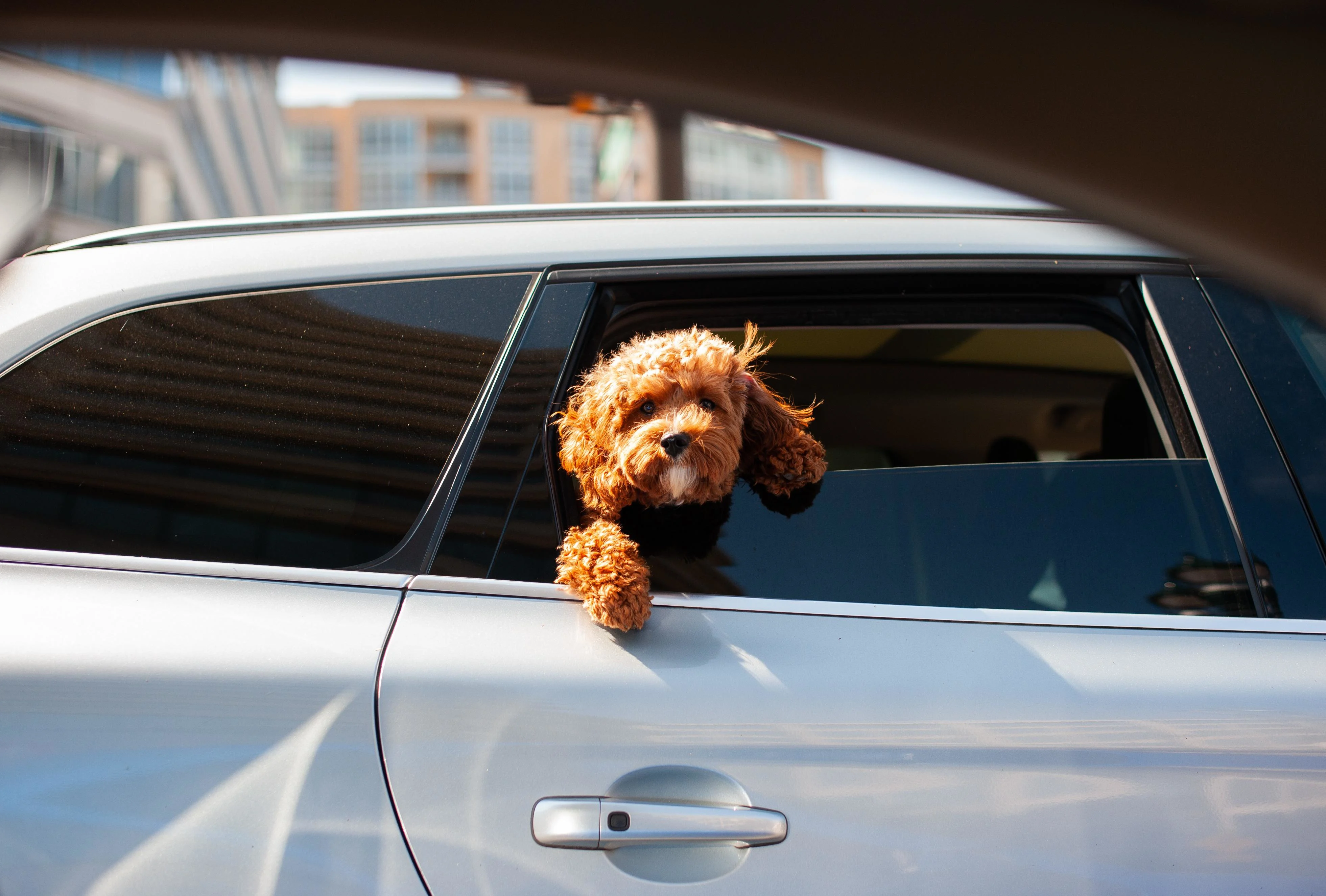 Window Tinting Services