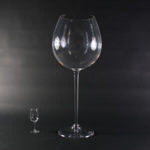 Large Acrylic Wine Glass