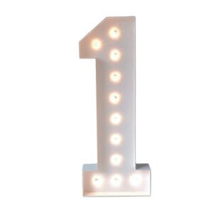 1 Marquee – Lights Included