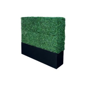4′ Tall Hedge Box Wall (4’l x 1’w x 4’h)