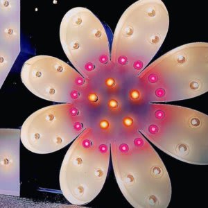 “Flower” 4′ Tall Marquee – RGB Lights