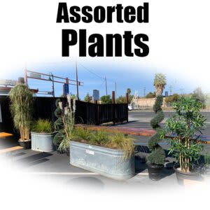 Assorted Trees/Plants (random)