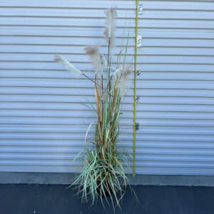 Artificial Tree / Decoration #6