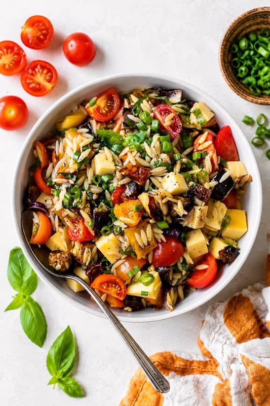 Vegetable Orzo Pasta