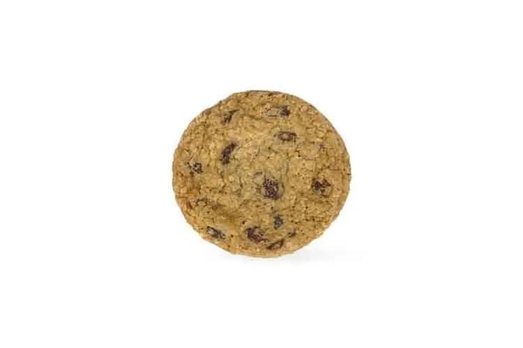 Oatmeal Cinnamon Raisin Cookie (no nut)