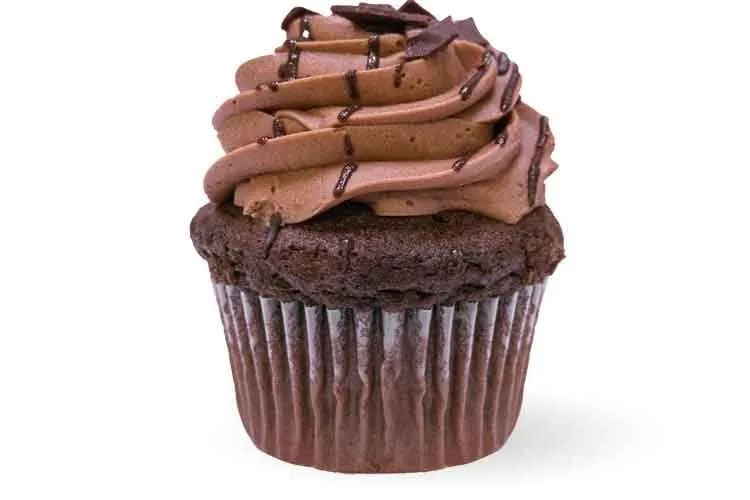 Double Chocolate Cupcake
