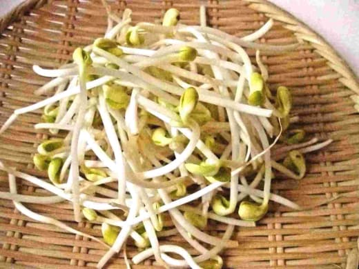 MOYASHI SPROUTS
