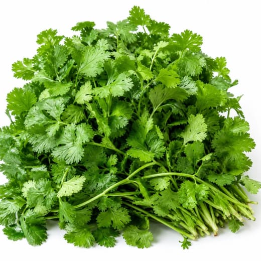 CILANTRO