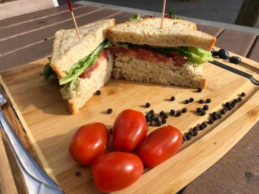 Tuna Sandwich