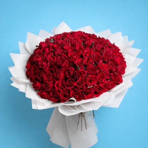 2026/02/RoseDayRedRoseBouquet2026.jpg Rose Day