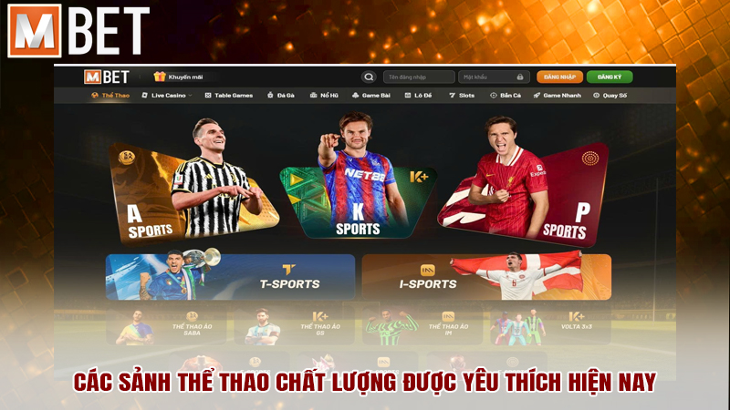 Các sảnh thể thao chất lượng được yêu thích hiện nay