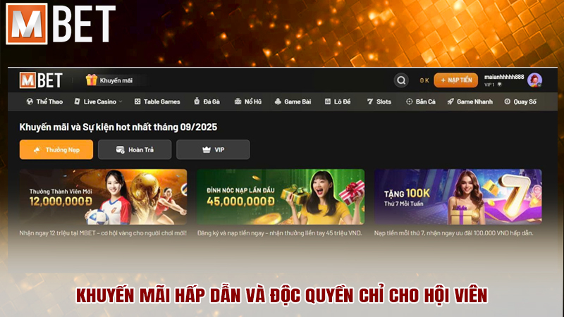 Khuyến mãi hấp dẫn và độc quyền chỉ cho hội viên