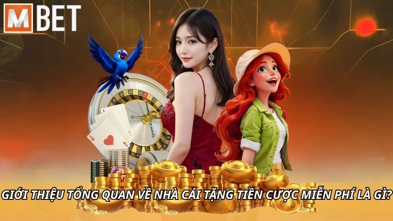 Giới thiệu tổng quan về nhà cái tặng tiền cược miễn phí là gì?