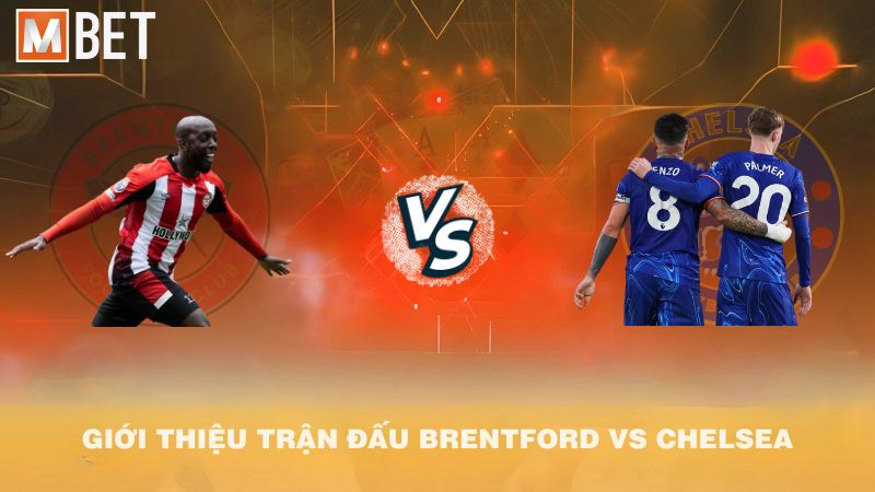 Giới thiệu trận đấu Brentford vs Chelsea 02h00 14/9/2025