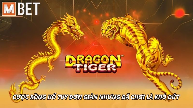 Cược Rồng Hổ tuy đơn giản nhưng đã chơi là khó dứt