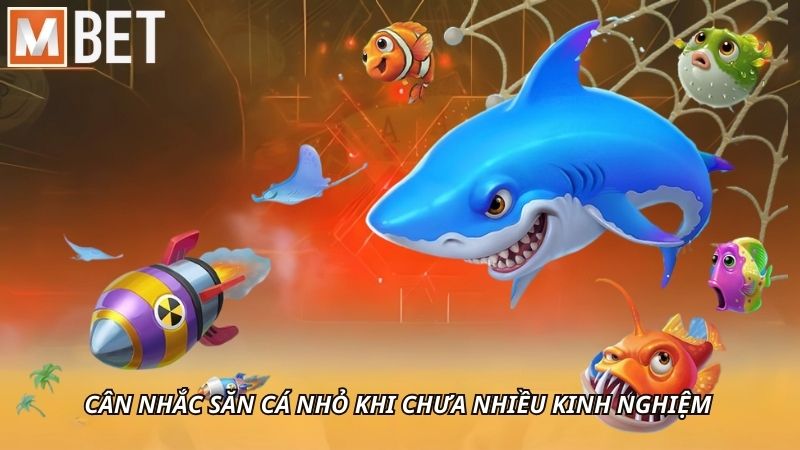 Cân nhắc săn cá nhỏ khi chưa nhiều kinh nghiệm