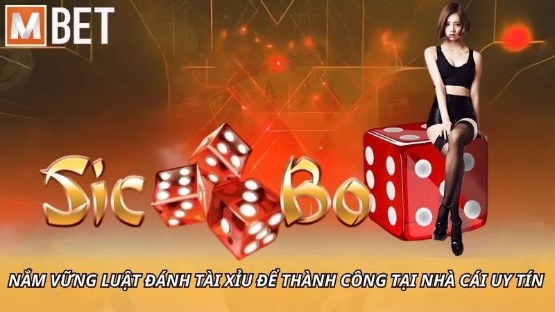 Nắm vững luật đánh tài xỉu để thành công tại nhà cái uy tín