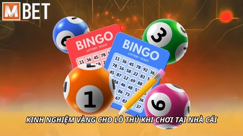 Kinh nghiệm vàng cho lô thủ khi chơi tại nhà cái