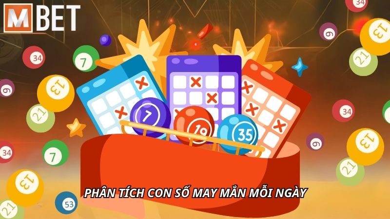 Phân tích con số may mắn mỗi ngày