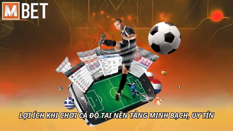 Lợi ích khi chơi cá độ tại nền tảng minh bạch, uy tín