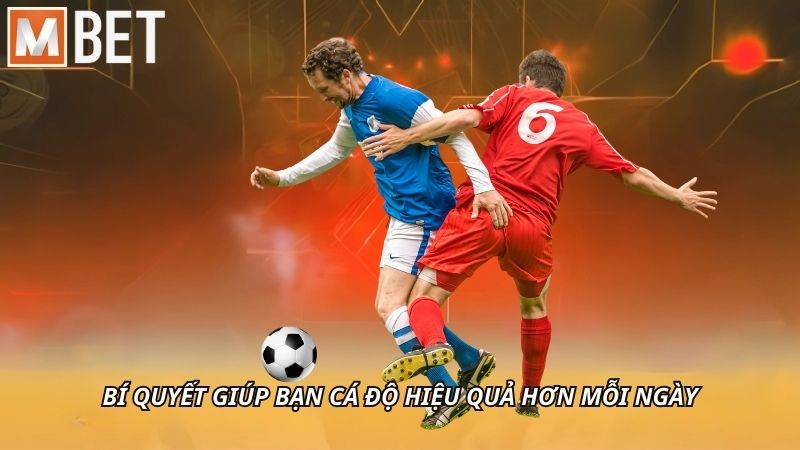 Bí quyết giúp bạn cá độ hiệu quả hơn mỗi ngày