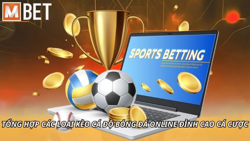 Tổng hợp các loại kèo cá độ bóng đá online đỉnh cao cá cược