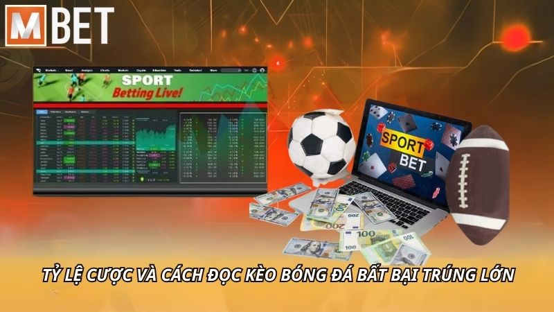 Tỷ lệ cược và cách đọc kèo bóng đá bất bại trúng lớn