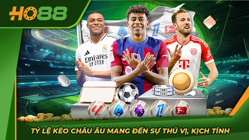 Tỷ lệ kèo châu Âu mang đến sự thú vị, kịch tính