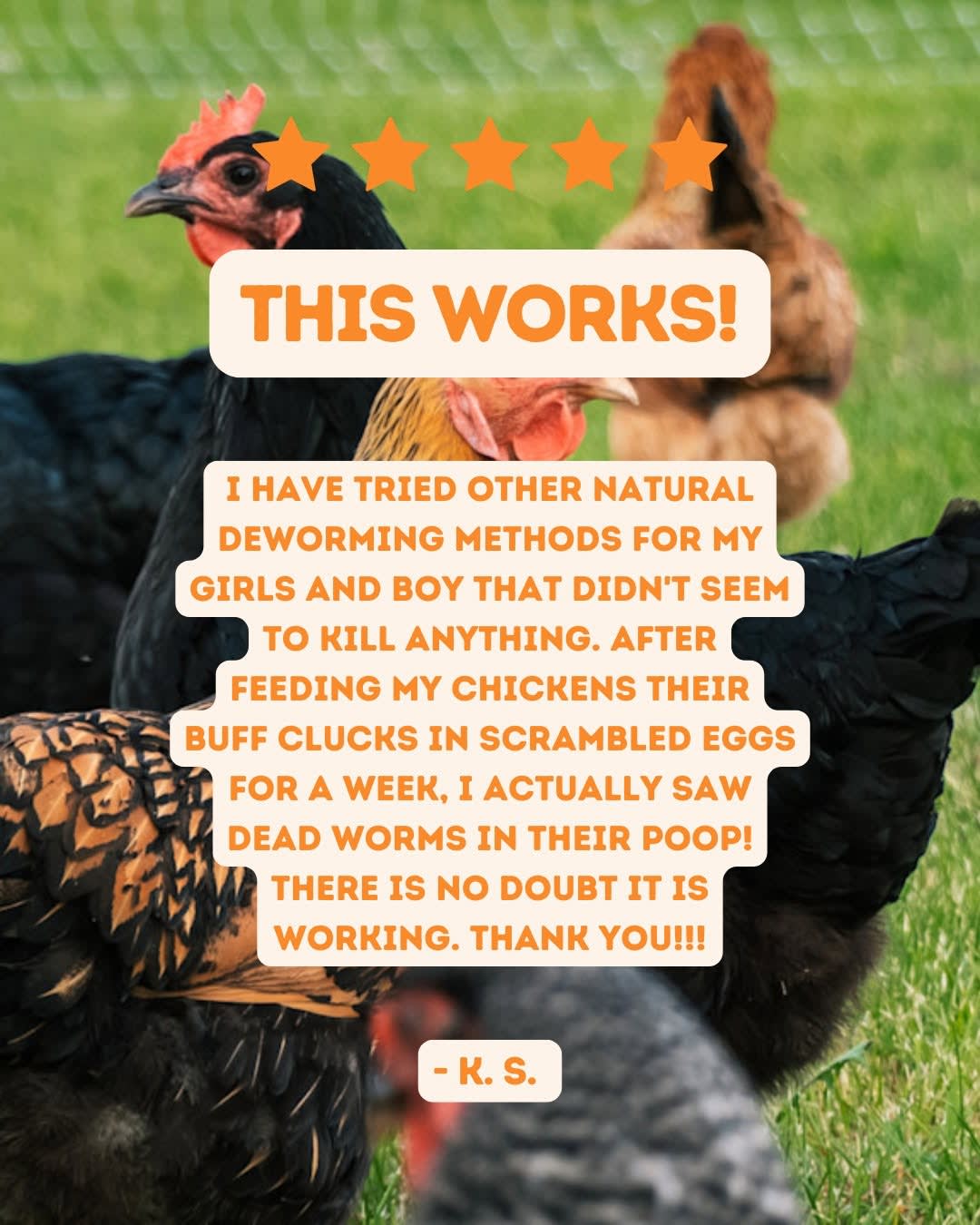 poster-image