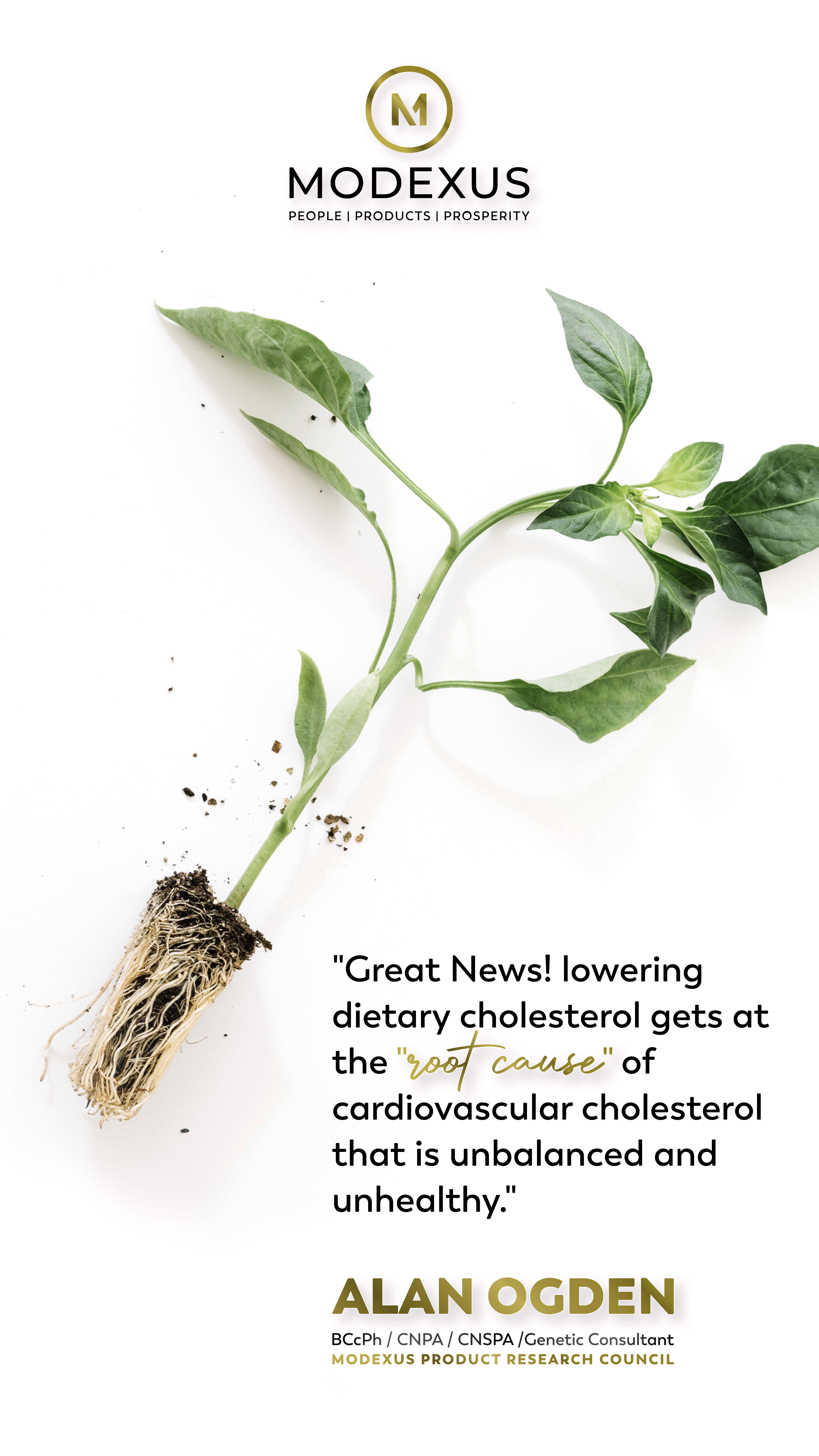 poster-image