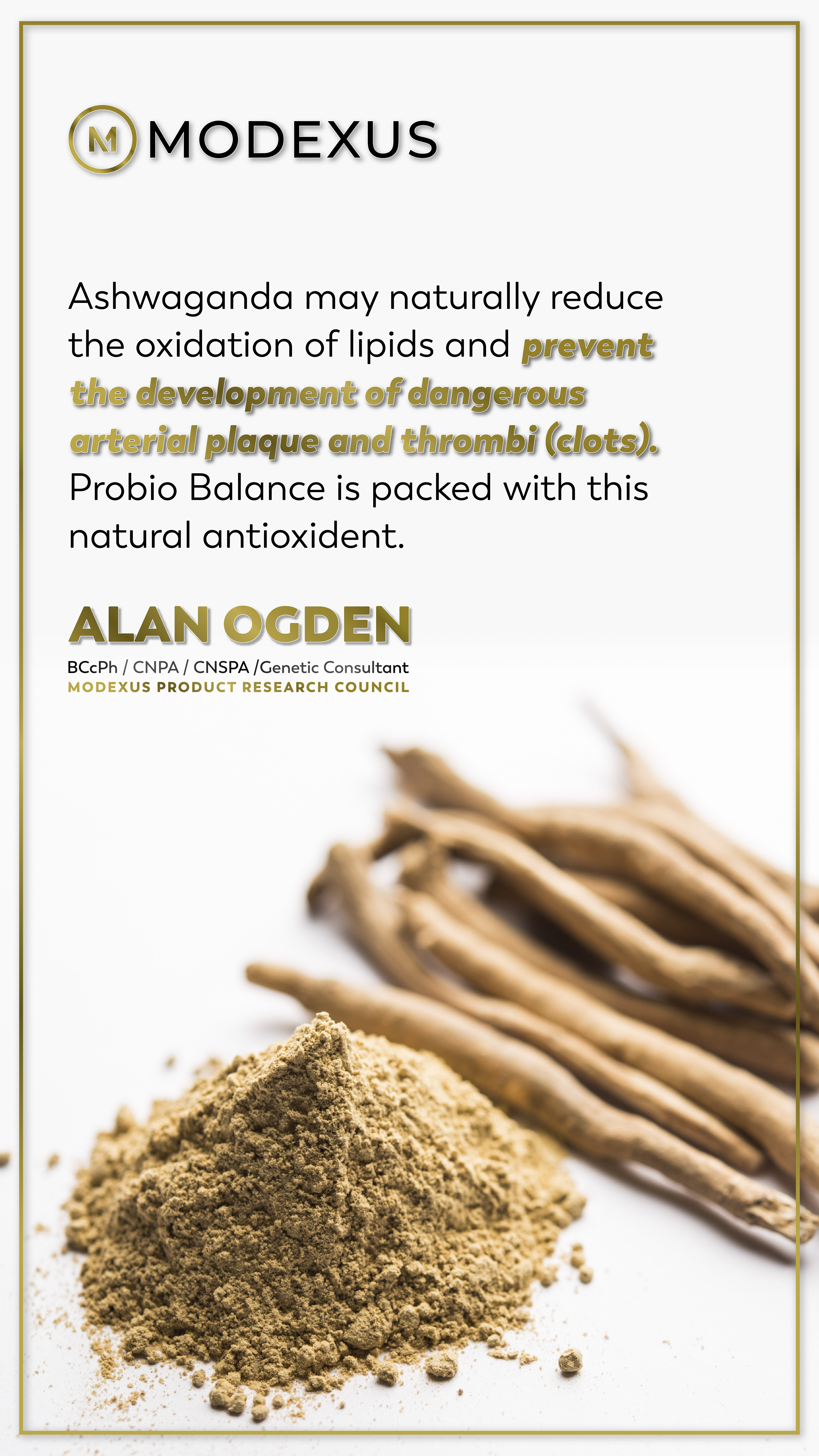 poster-image