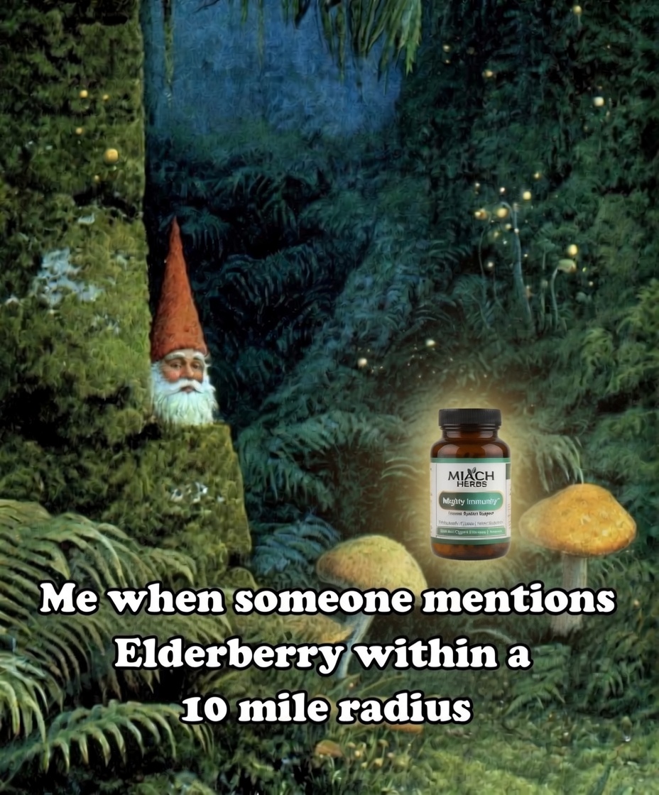 poster-image