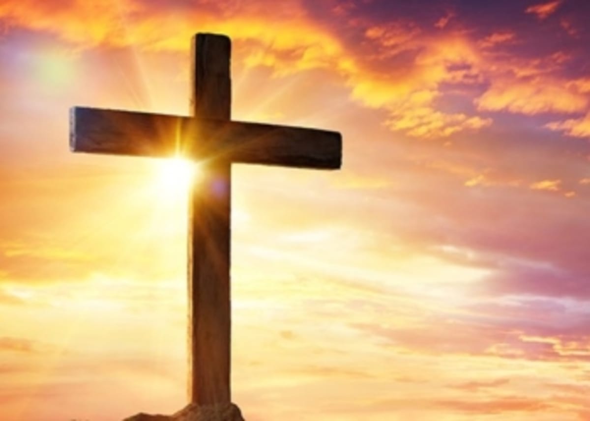 Pope Francis: Confession Motivates Us to Do Better - Image 4