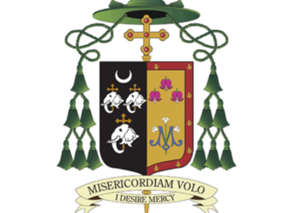 Pope Francis: Confession Motivates Us to Do Better - Image 2