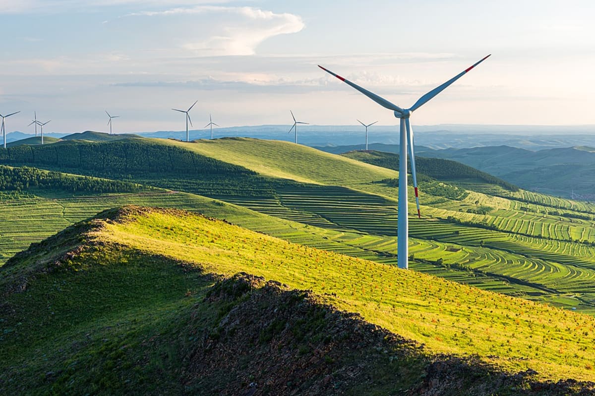 China's Renewables Overtake Coal in Historic Energy Shift