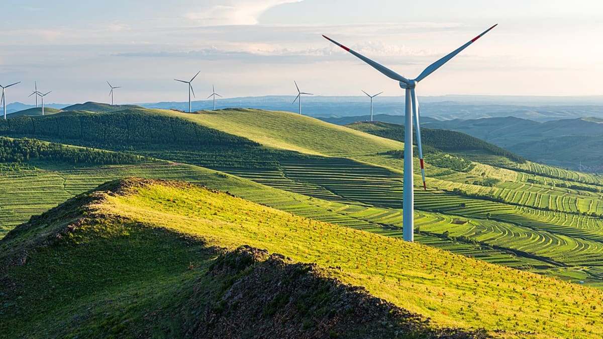 China's Renewables Overtake Coal in Historic Energy Shift - Image 2