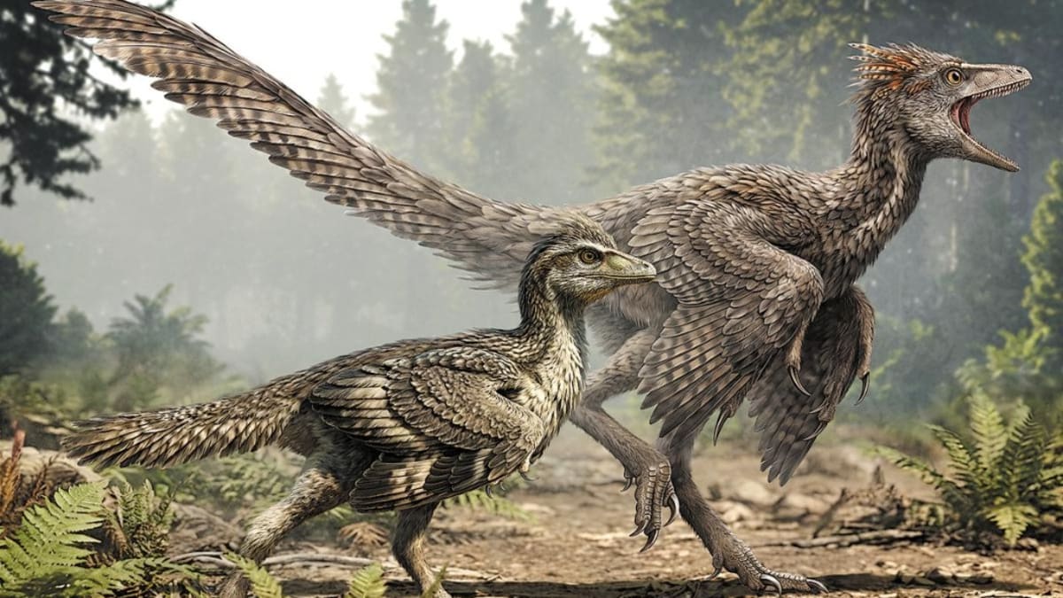 150-Million-Year-Old Fossil Solves Bird Tail Mystery - Image 2